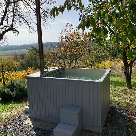 Szoloskert Vendeghaz Balatonszolos Exterior foto