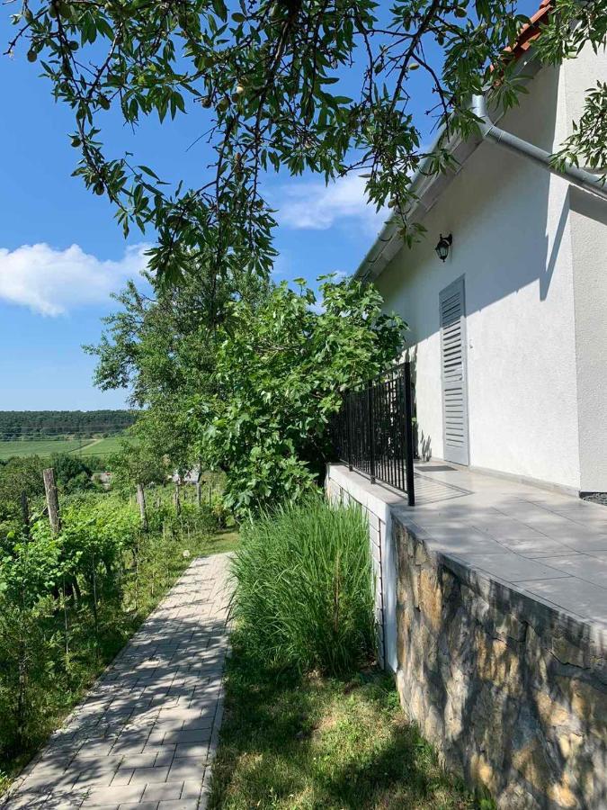 Szoloskert Vendeghaz Balatonszolos Exterior foto