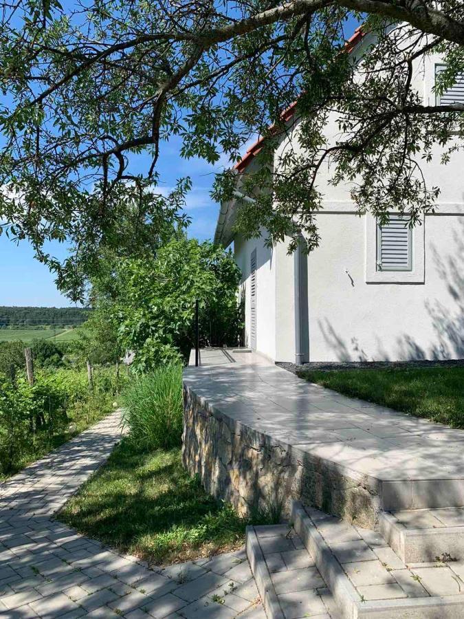 Szoloskert Vendeghaz Balatonszolos Exterior foto