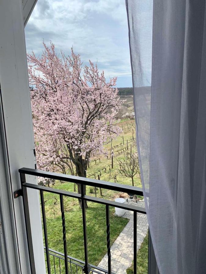 Szoloskert Vendeghaz Balatonszolos Exterior foto