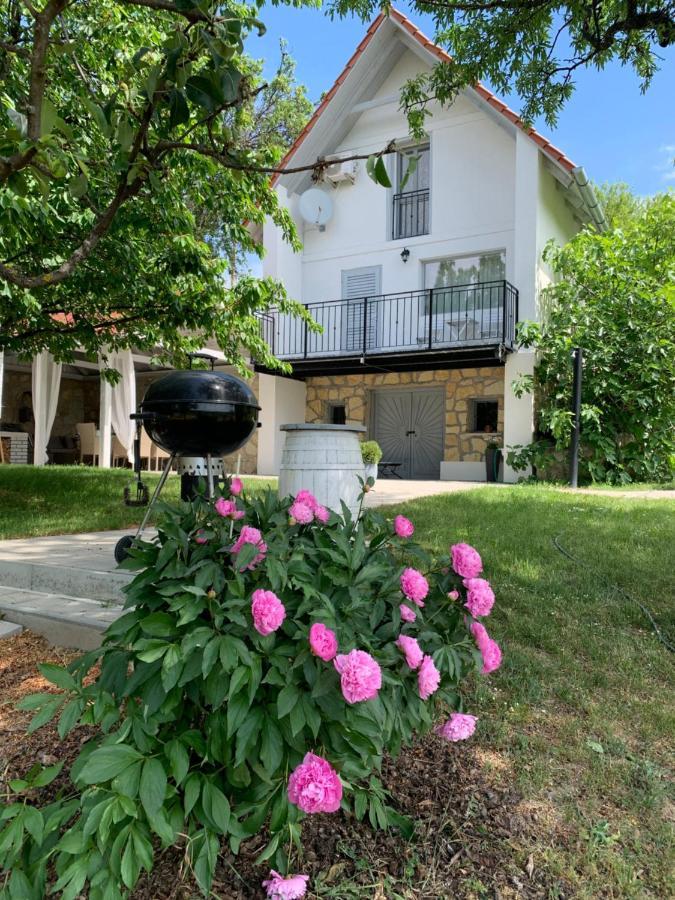 Szoloskert Vendeghaz Balatonszolos Exterior foto