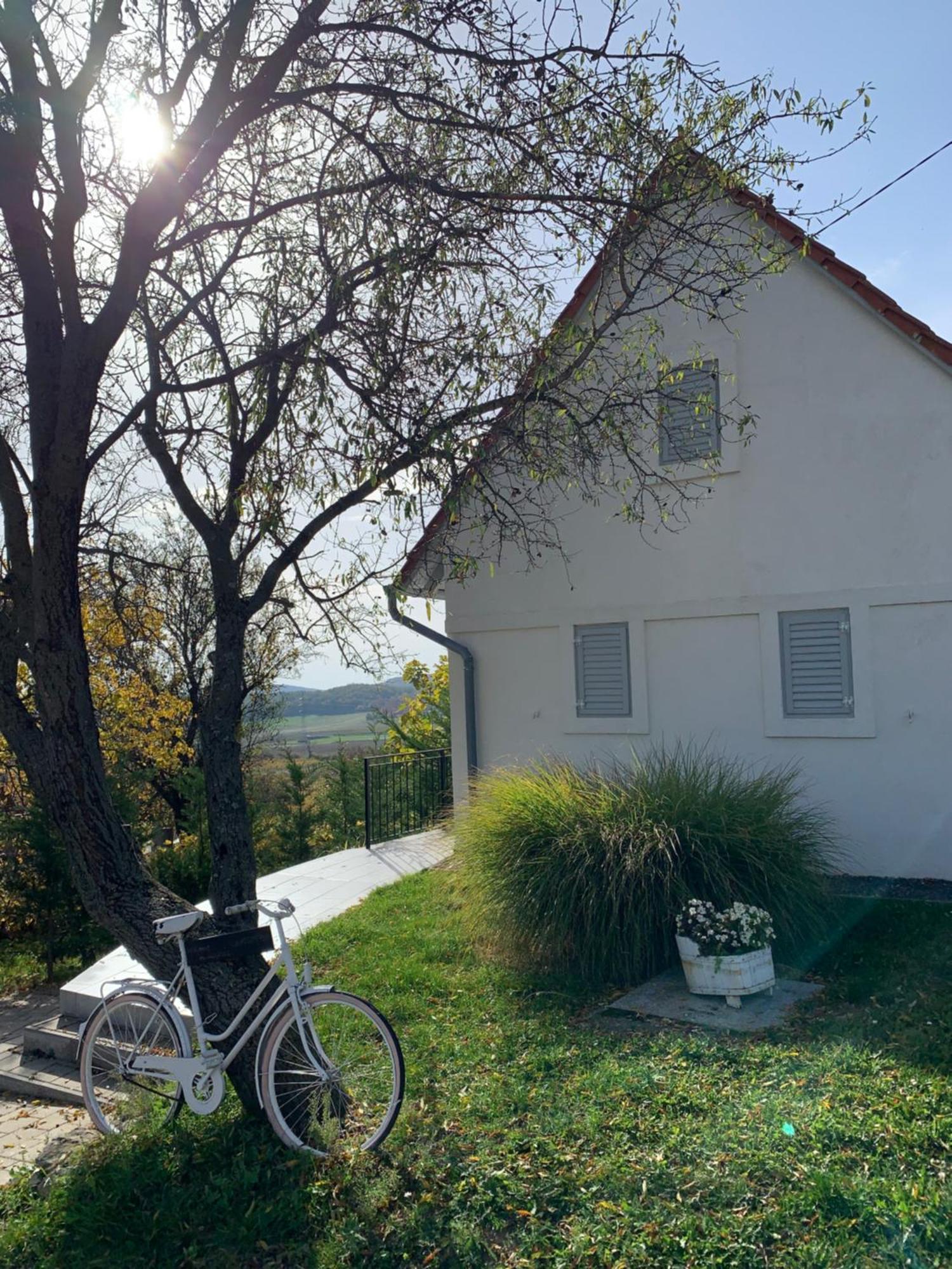 Szoloskert Vendeghaz Balatonszolos Exterior foto